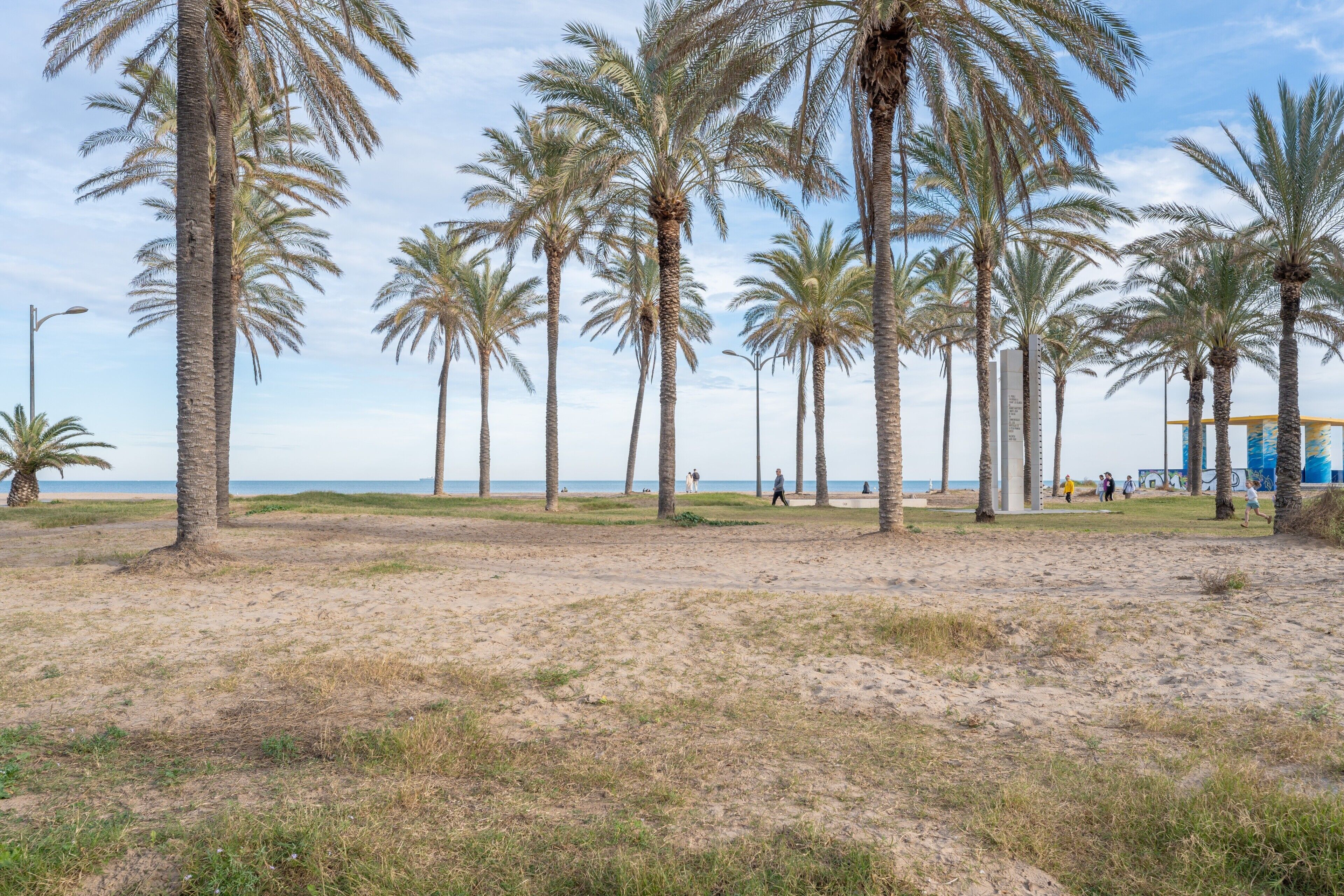 Una playa con palmeras y cielo despejado.