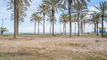 Una playa con palmeras y cielo despejado.