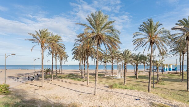 Una playa con palmeras, un sendero arenoso y un cielo azul despejado.