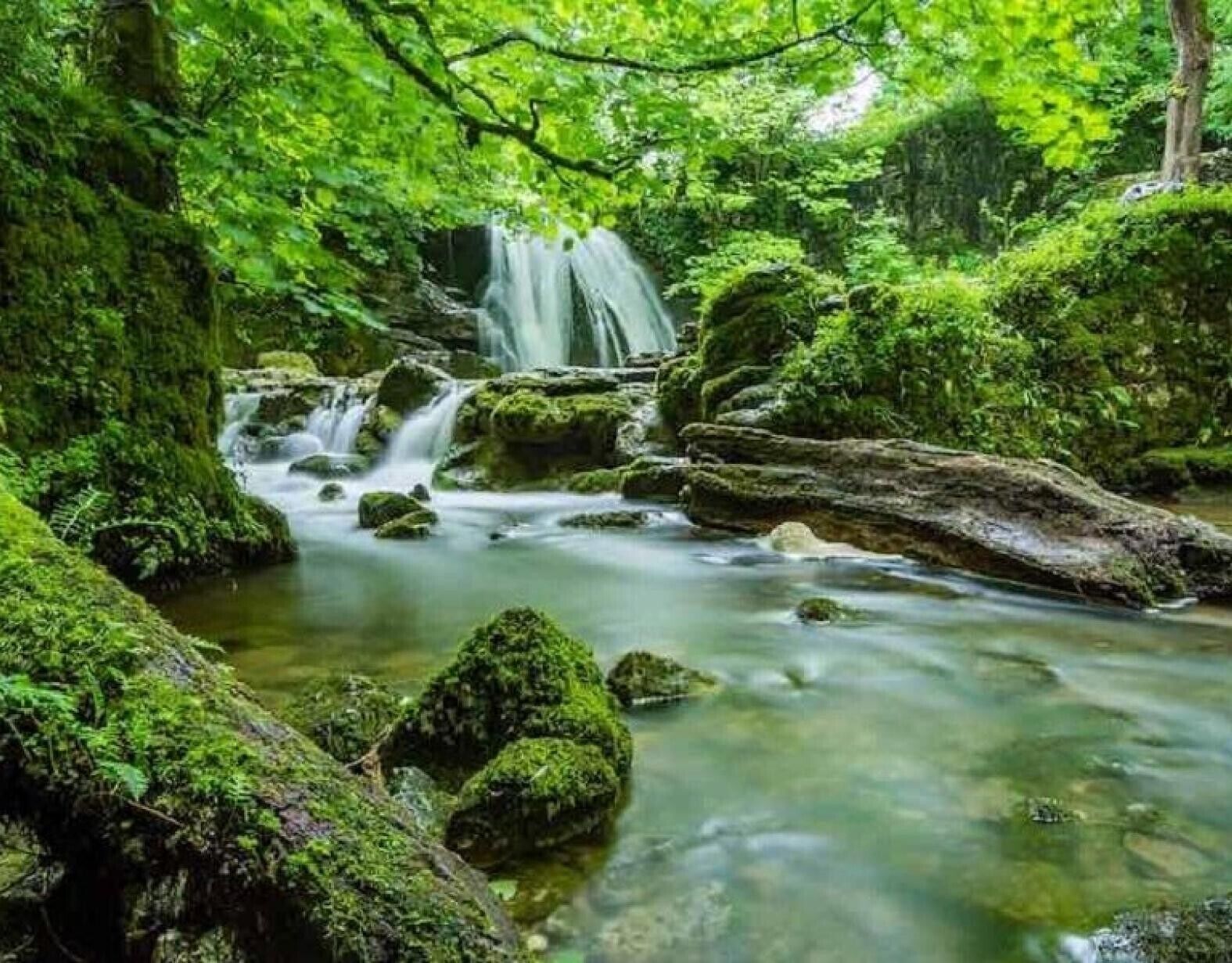 Una cascada natural rodeada de exuberante vegetación.