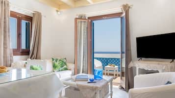 Televisión, reproductor de DVD, mesa de ping pong