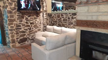 Televisión, chimenea y reproductor de DVD