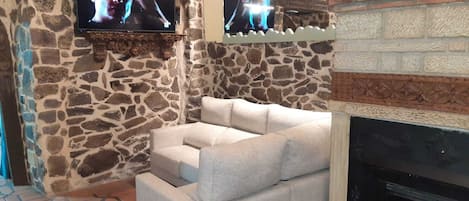 Televisión, chimenea y reproductor de DVD