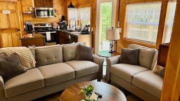 Una televisión, una chimenea, un reproductor de DVD, libros