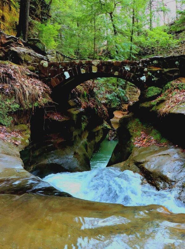 Un puente de piedra sobre un río caudaloso en una zona boscosa.
