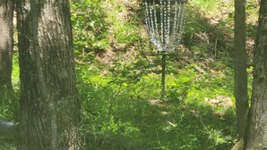 A disc golf basket in a wooded area with trees and a building in the background. - Majestic Woods Cabin 1 (Logan)