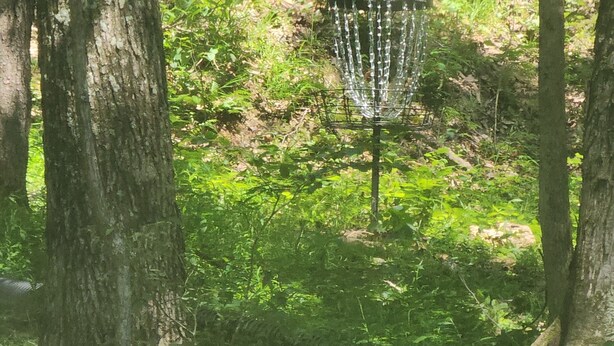 Een frisbeebaanket in een bebost gebied met bomen en een gebouw op de achtergrond.