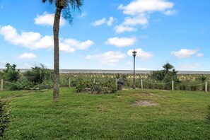 Un área con césped, una palmera, un farol y vista al mar.
