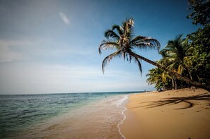 Ein Strand mit klarem, blauem Wasser, einem Sandufer und Palmen.