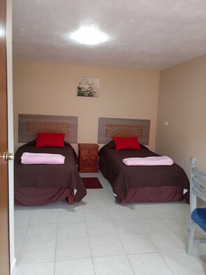 Habitación básica con 2 camas individuales, vistas al jardín | Escritorio, espacio para trabajar con un portátil, wifi gratis