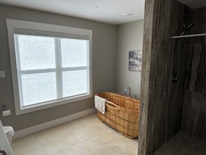 Shower, hair dryer, towels, soap - RIVERFRONT  NEW 4-bedroom house with WiFi and AC in Calico Rock (Calico Rock)