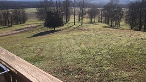 A grassy field with a wooden deck and trees. - Charming 1-bedroom house with WiFi and AC in peaceful Mount Pleasant (Mount Pleasant)