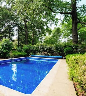 Piscina retangular com água azul cristalina, rodeada por um deck de concreto e vegetação exuberante.