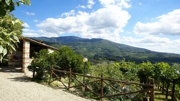 Classic House, 2 Bedrooms | View from property