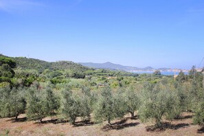 Vue depuis l’hébergement