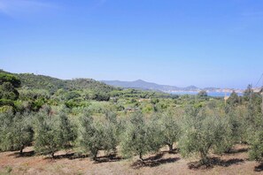 Classic House, 4 Bedrooms | View from property - Holiday Home Biocasa Fabiana, Portoferraio Magazzini (Portoferraio)