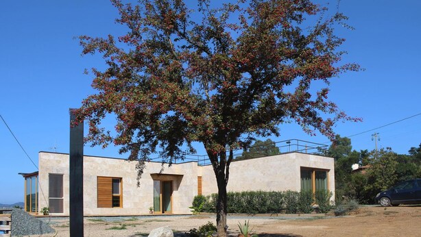 Une maison moderne avec un grand arbre dans le jardin avant.