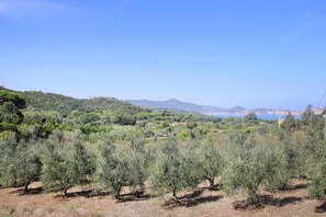 Vue depuis l’hébergement