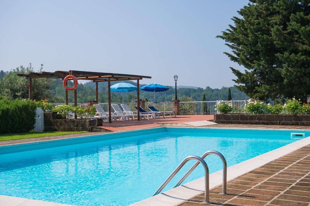 A swimming pool with lounge chairs and umbrellas, surrounded by greenery and a view of hills.