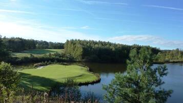 Comfort Apartment, 1 Bedroom | View from property