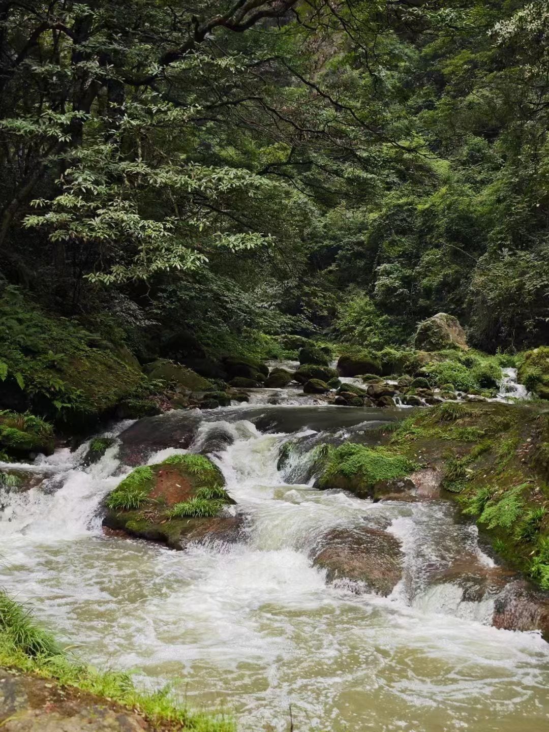 A natural waterfall surrounded by dense green foliage.
