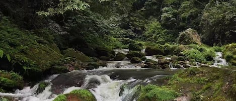 A natural waterfall surrounded by dense green foliage.