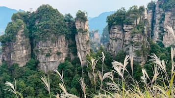 A mountainous landscape with tall, rocky cliffs and dense greenery.