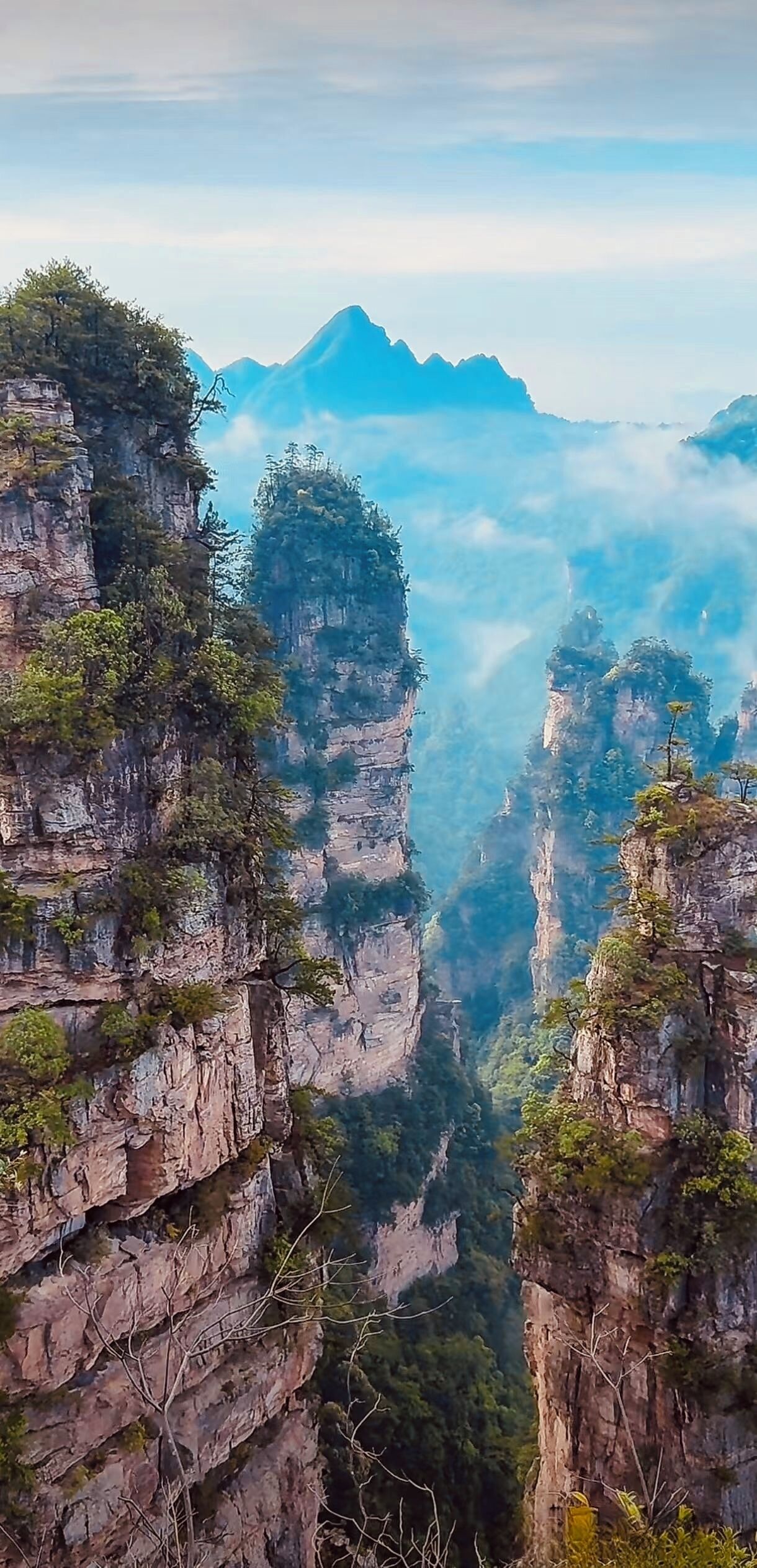 Paesaggio montuoso con ripidi dirupi e fitta foresta.