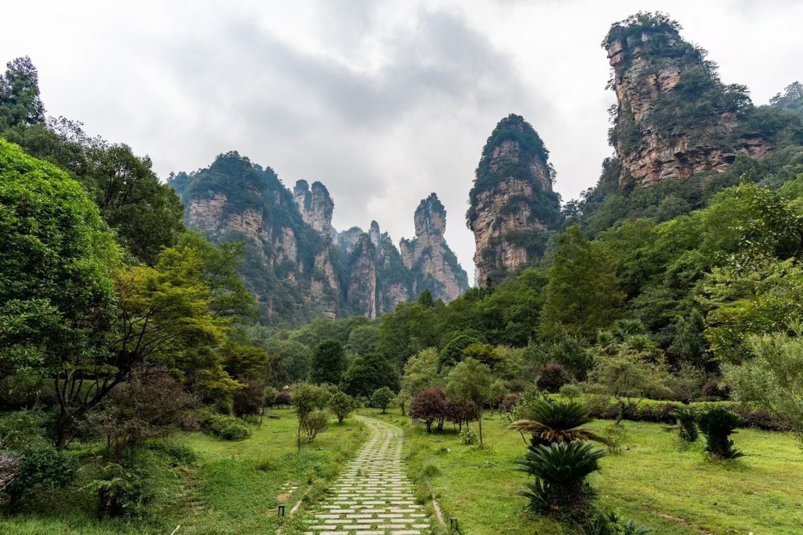 A pathway leading through a lush green landscape with tall, rocky mountains in the background.