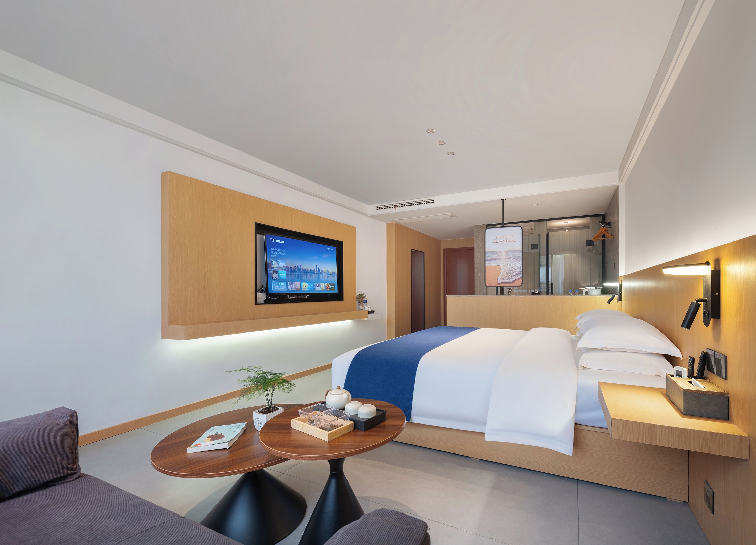 A hotel room with a bed, a TV mounted on the wall, a bedside table with a lamp, a small table with a plant and a book, and a sofa.