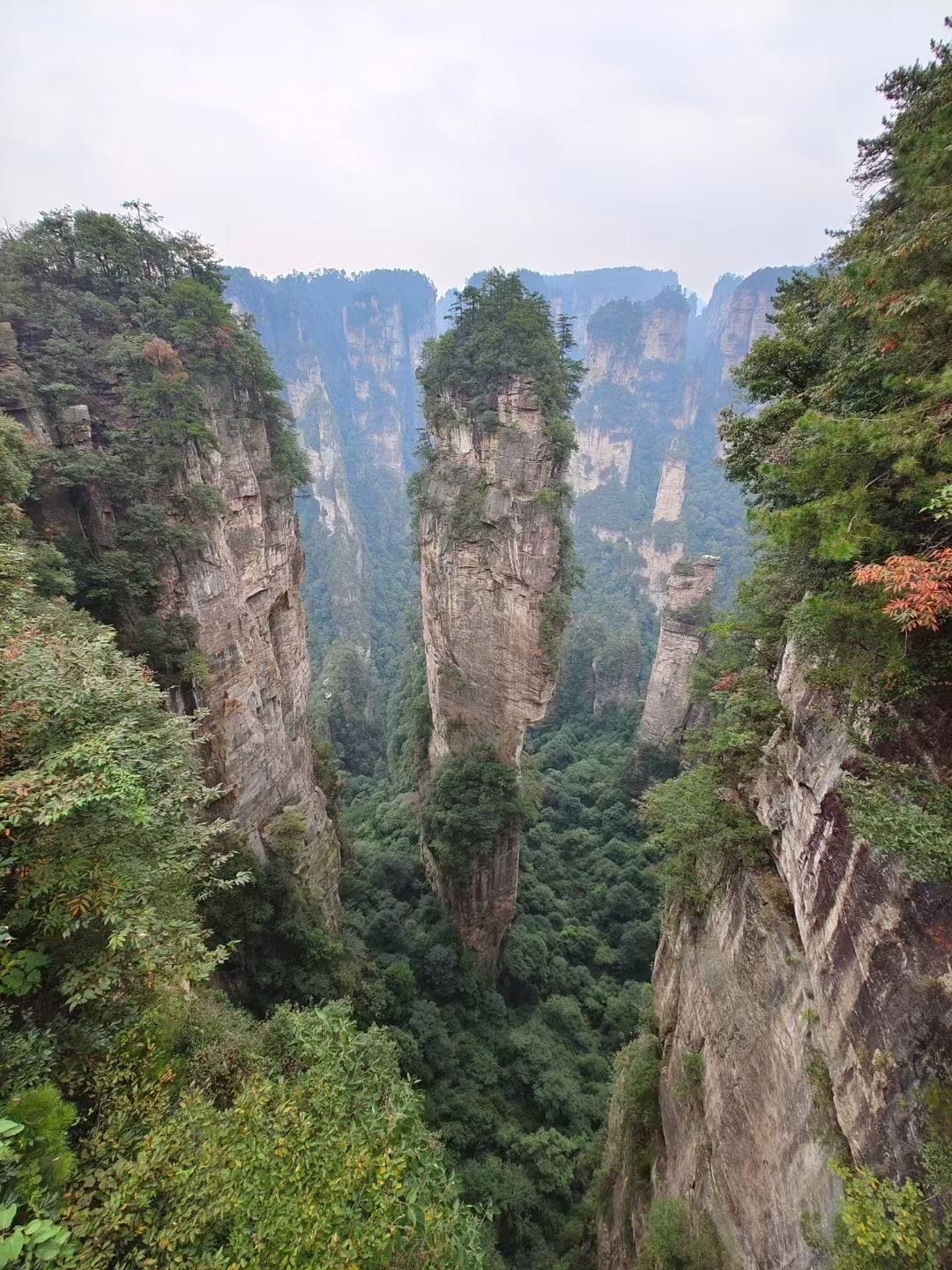 A mountainous landscape with towering cliffs and dense forest.