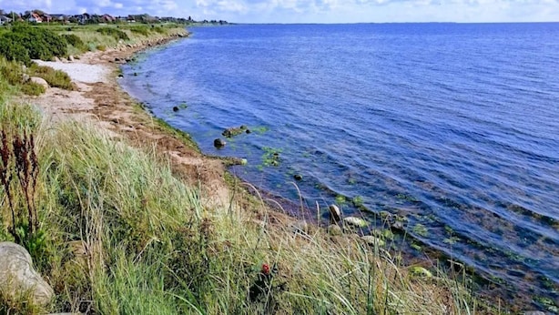 Een kustlandschap met heldere lucht, een zandpad dat naar de zee leidt, en huizen in de verte.