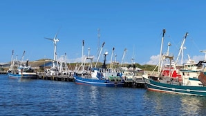 Een jachthaven met verschillende vissersboten die aanmeren.