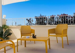 Suite presidencial | Terrassa o pati