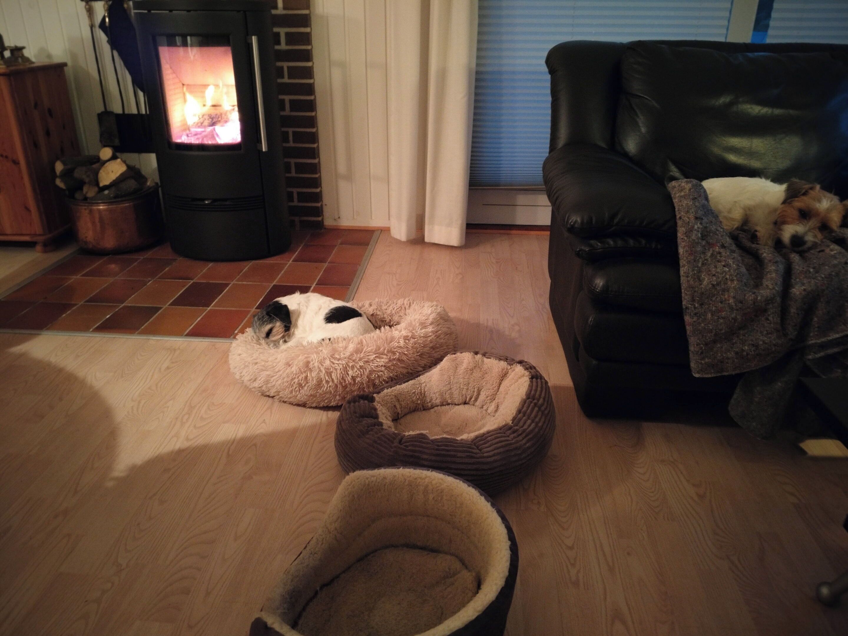 A cozy living room with a fireplace, a dog bed, a leather couch, and a dog resting on the couch.