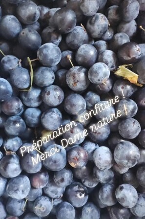 Unclassified image, 4 of 107, button - Grand gîte - LA SOURCE DE NOS RACINES - FARMHOUSE IN THE HEART OF AVESNOIS (Beaufort)