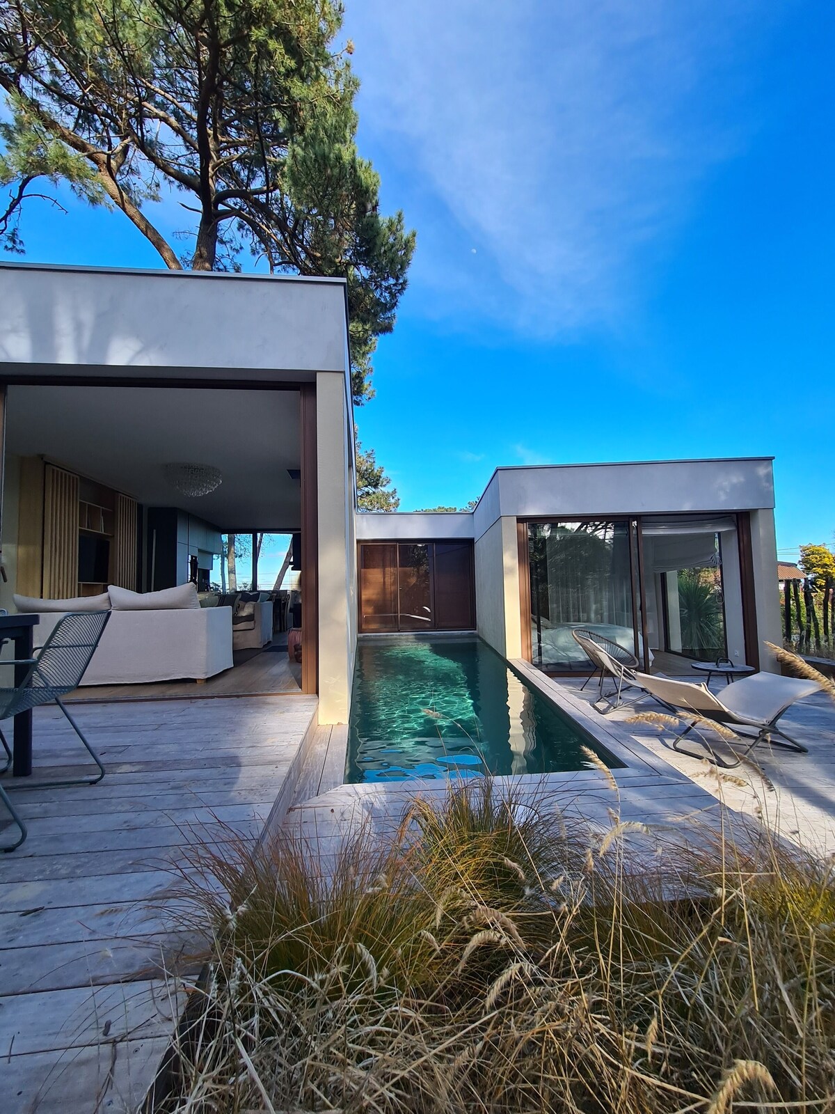 オーナーのプロフィール画像