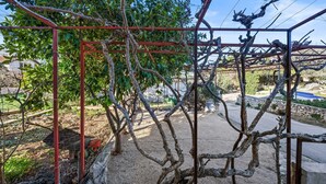 Een tuin met een pergola en een boom met kronkelende takken.
