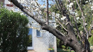 Et træ med hvide blomster foran en bygning med et gittervindue.