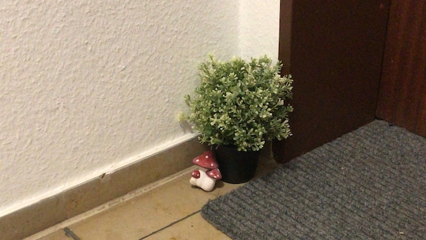 A tiled floor with a small potted plant and a decorative mushroom near a door. - Troisdorf-Rottersee - 60 square meters - 1 to 3 people, very quiet location, good transportation links (Troisdorf)