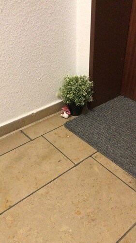 Troisdorf-Rottersee - 60 square meters - 1 to 3 people, very quiet location, good transportation links