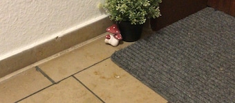 Troisdorf-Rottersee - 60 square meters - 1 to 3 people, very quiet location, good transportation links