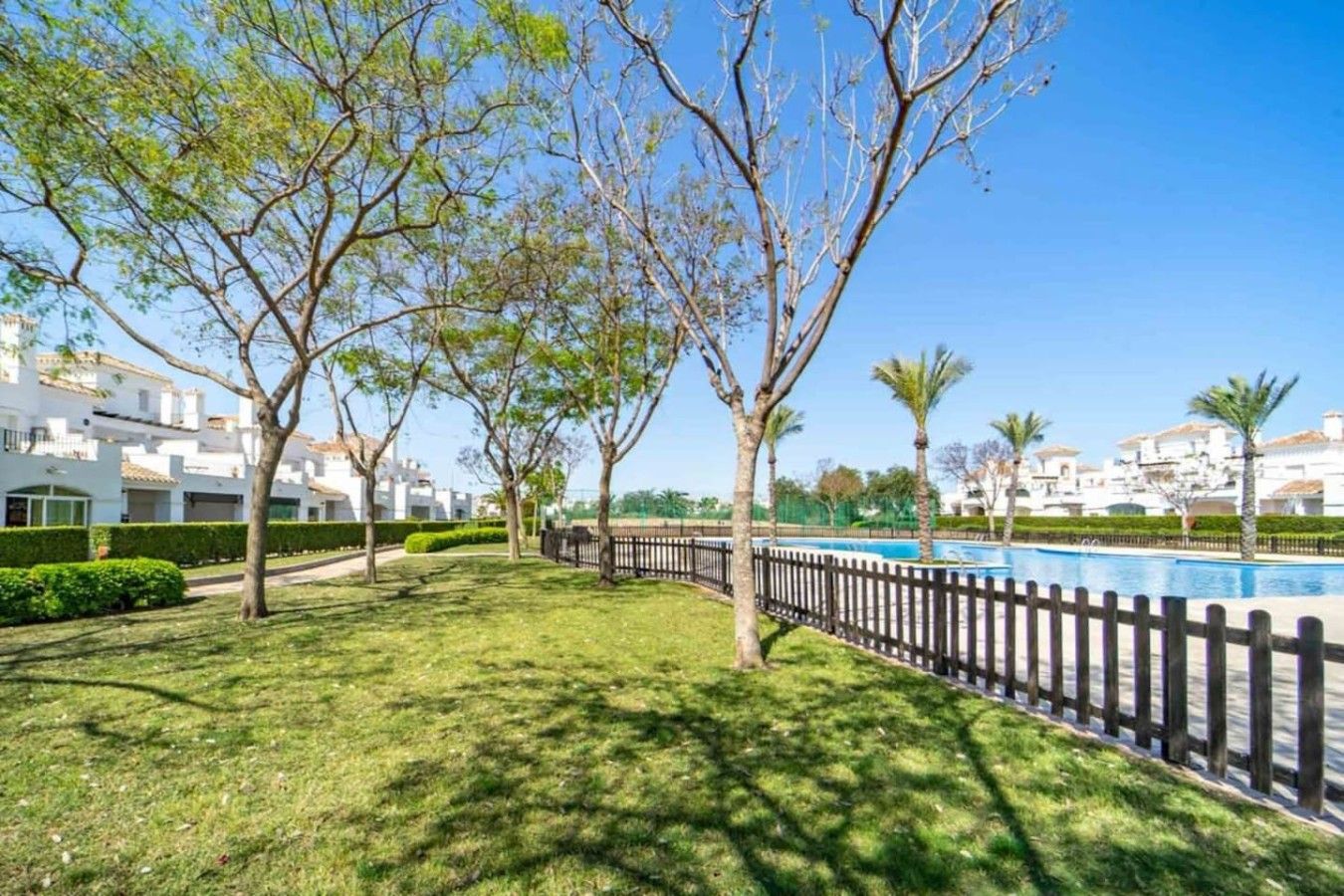 A residential area with a swimming pool, trees, and white buildings.