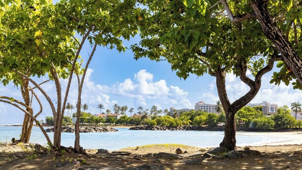 Beach - AQUA Casa A8 · Private & FUN 3 BR House with Pool (Dorado)