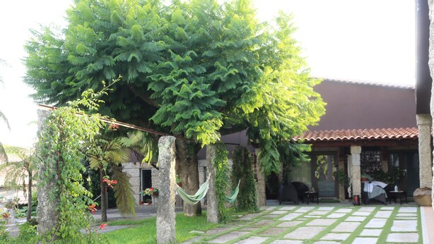 Ein Innenhof mit einem Kiesweg, einer Hängematte und einem großen Baum, der Schatten spendet.