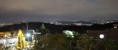 A nighttime view of a cityscape with distant city lights, a prominent Christmas tree, and a hill with a house.