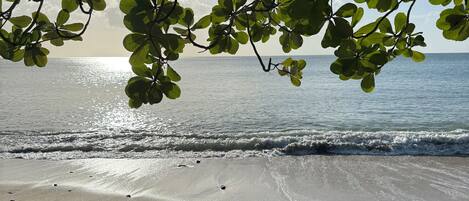 Vlak bij het strand