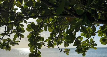 Cozy Ocean View Villa, full kitchen, strong Wi-Fi- 2 mins from the beach!