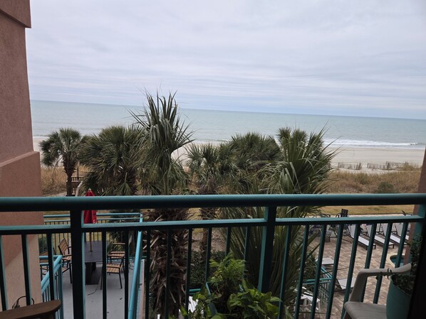 Property grounds - The Cozy Retreat (Myrtle Beach)