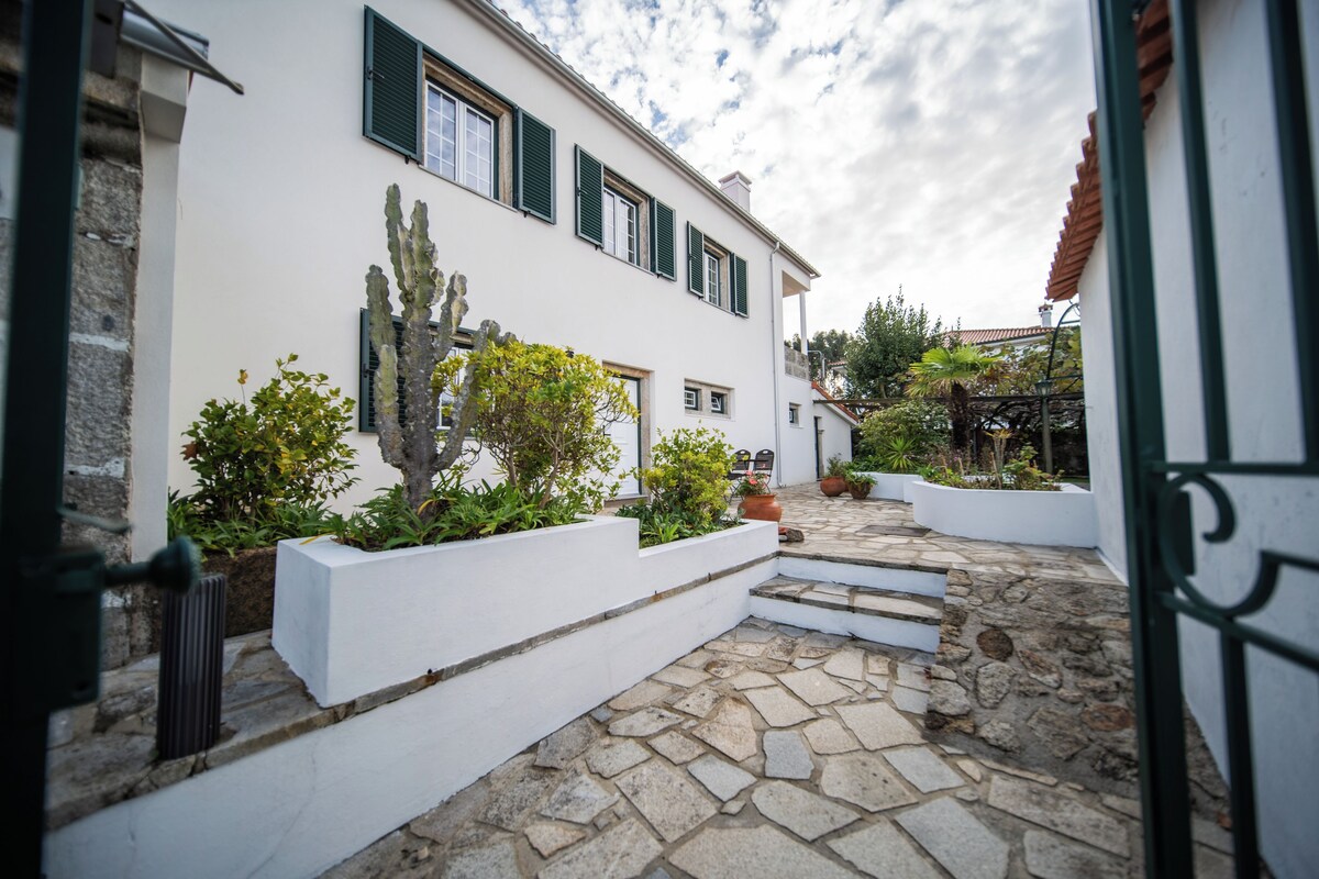 A courtyard with a white building, green shutters, and a cactus.